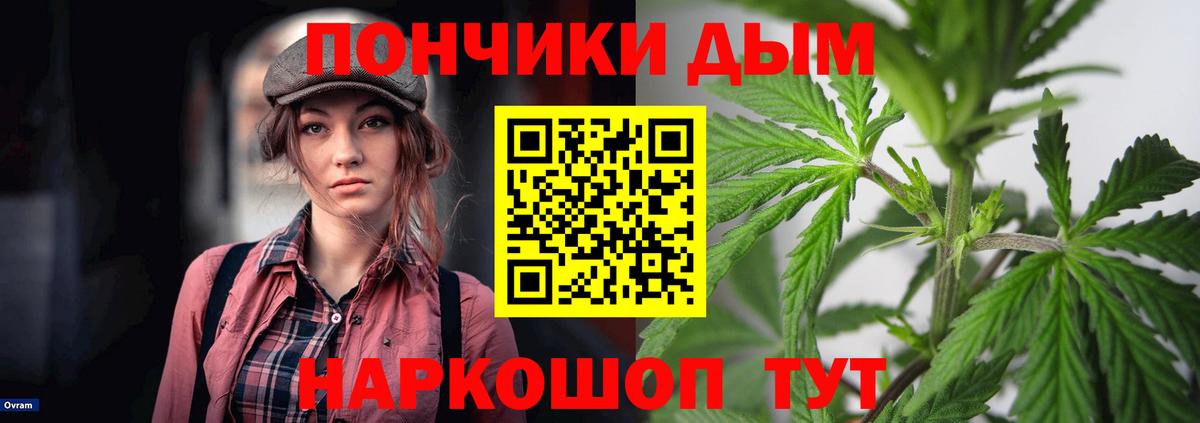 Бошки Шишки THC 21% Шахты